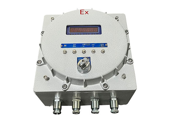 防爆称重显示器XK3108-EXD(控制款)